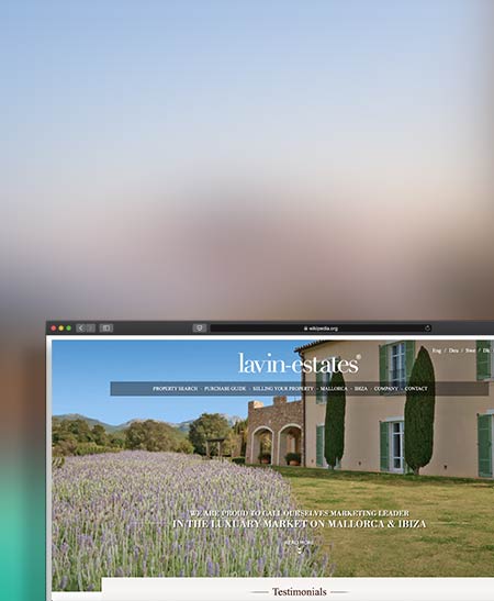 Lavin estate real estate web site diseño